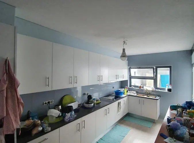 Enjoy The Island - Rua Do Negrao *